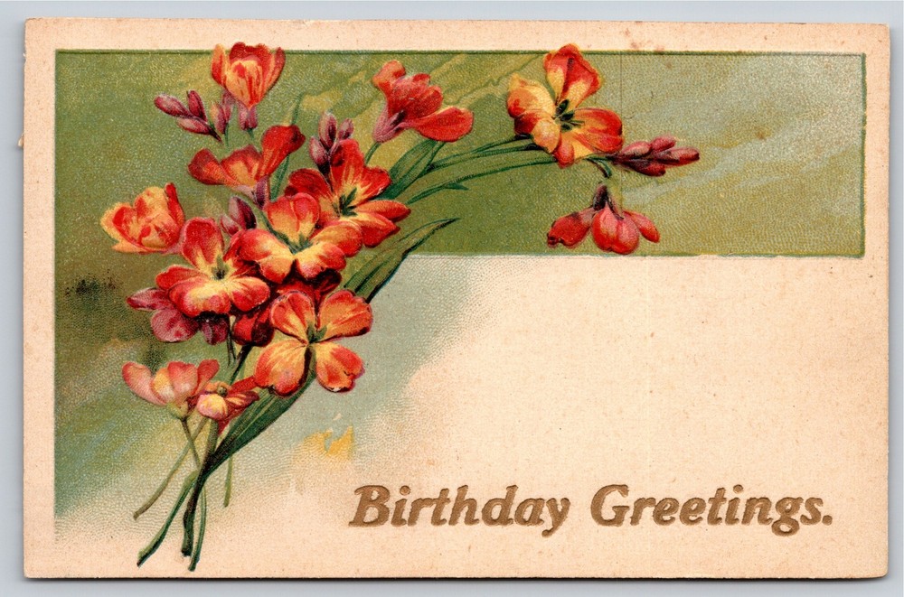 PFB~Birthday Greetings~Red Flower Bouquet~PM 1909~Embossed~Vintage Postcard