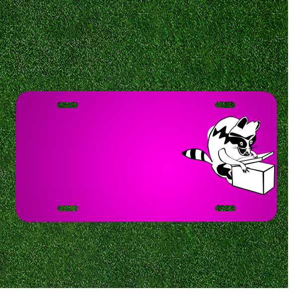 Custom Raccoon Box Car License Plate with Personal Names Added