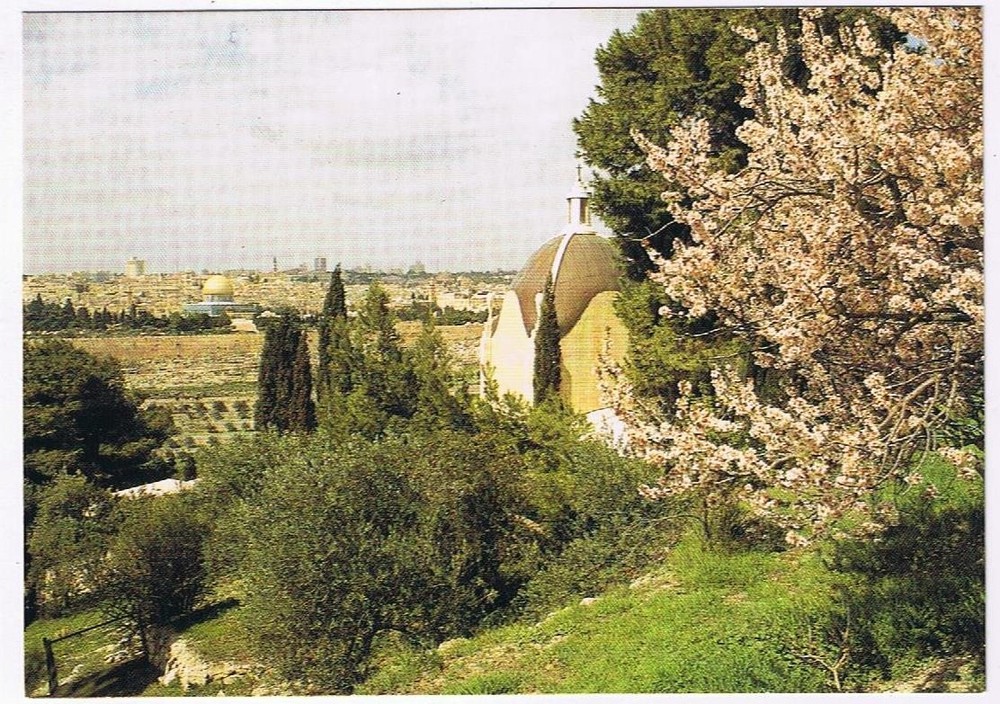 Israel Postcard Jerusalem Dominus Flevit Chapel