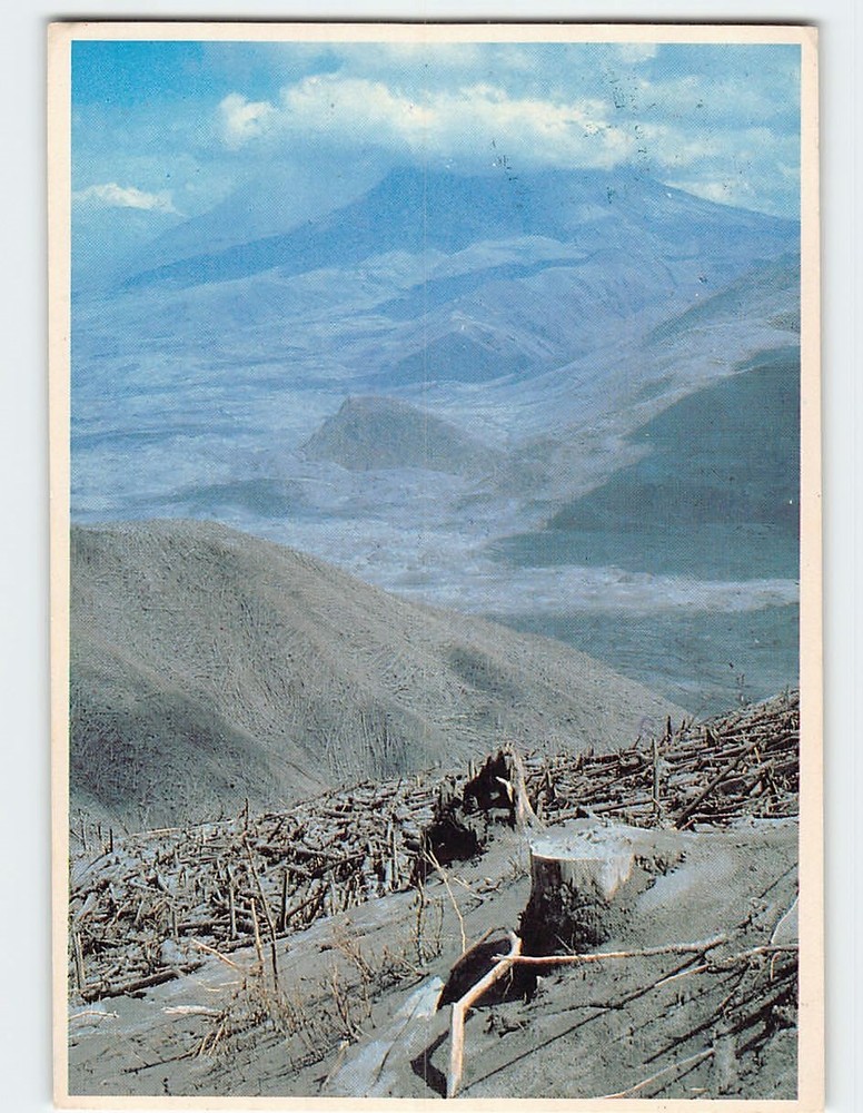 Postcard Mt. St. Helens Devastation Washington USA
