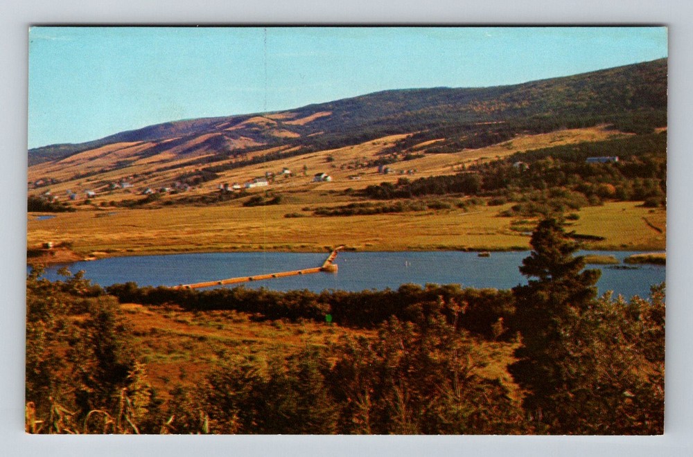 Canada- Nova Scotia Margaree Valley Salmon Trap Old Postal View Vintage Postcard