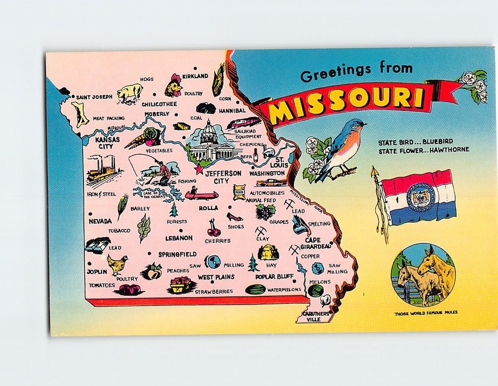 Postcard Greetings from Missouri USA