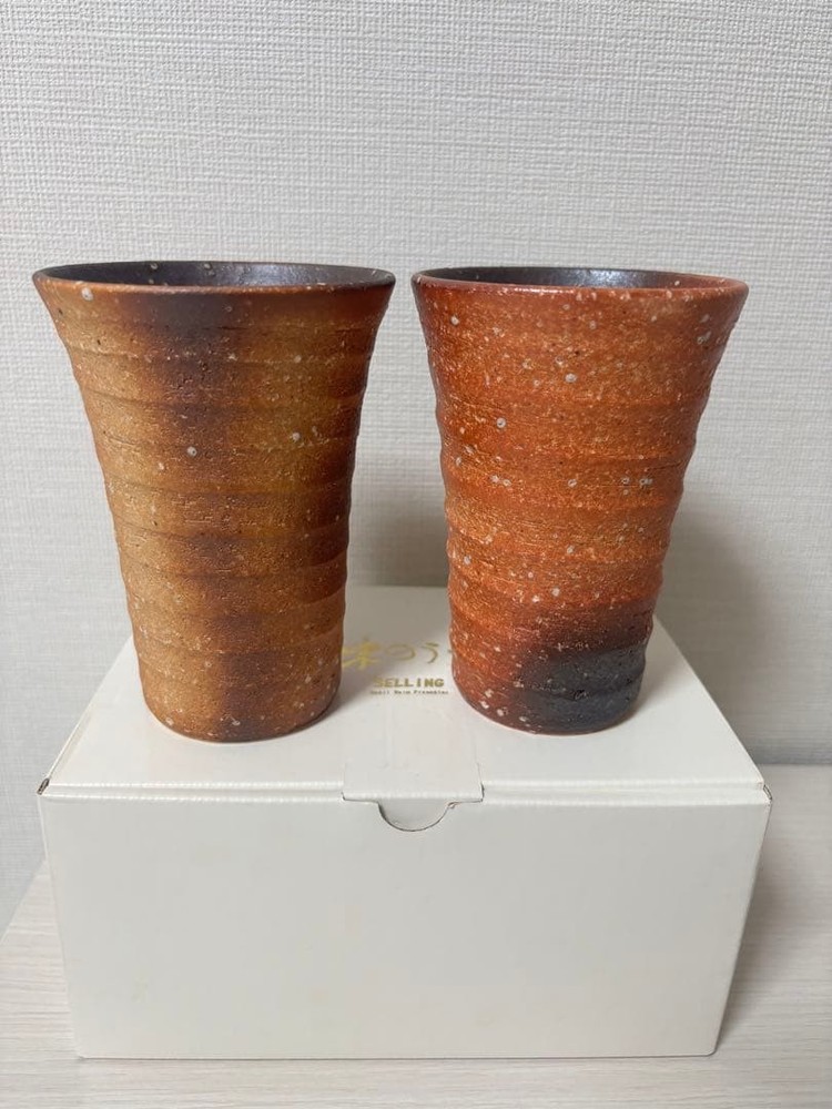 Shigaraki Ware Stone-Melted Beer Mug Set of 2, Handmade Ceramic Cups