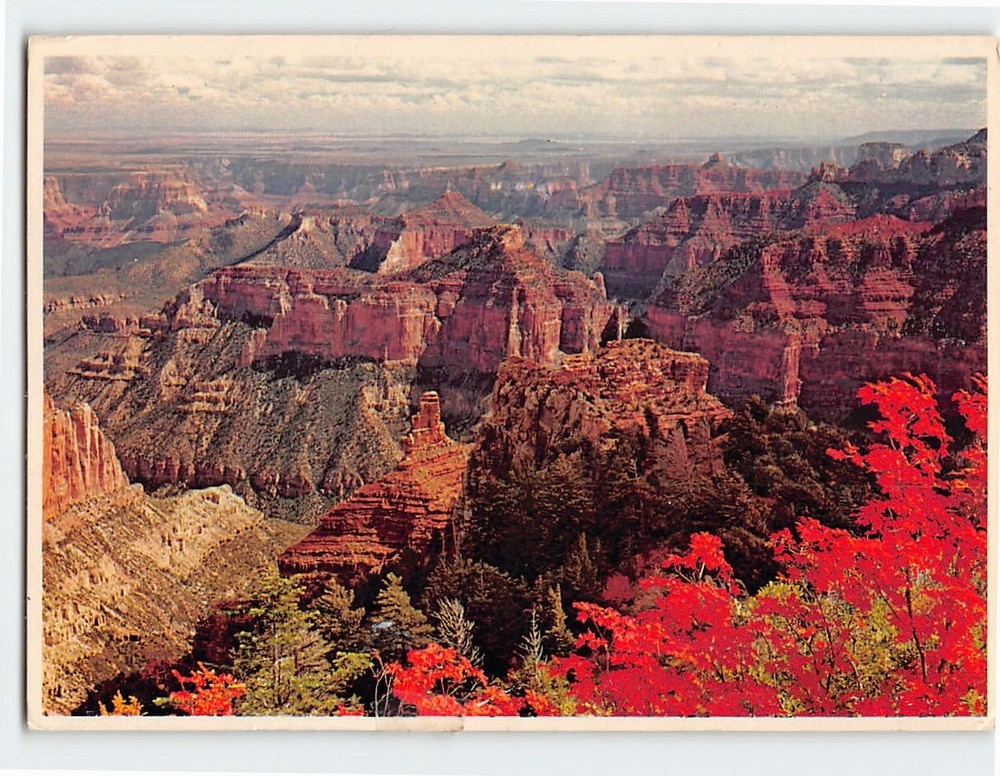 Postcard Autumn on the North Rim Grand Canyon National Park Arizona USA