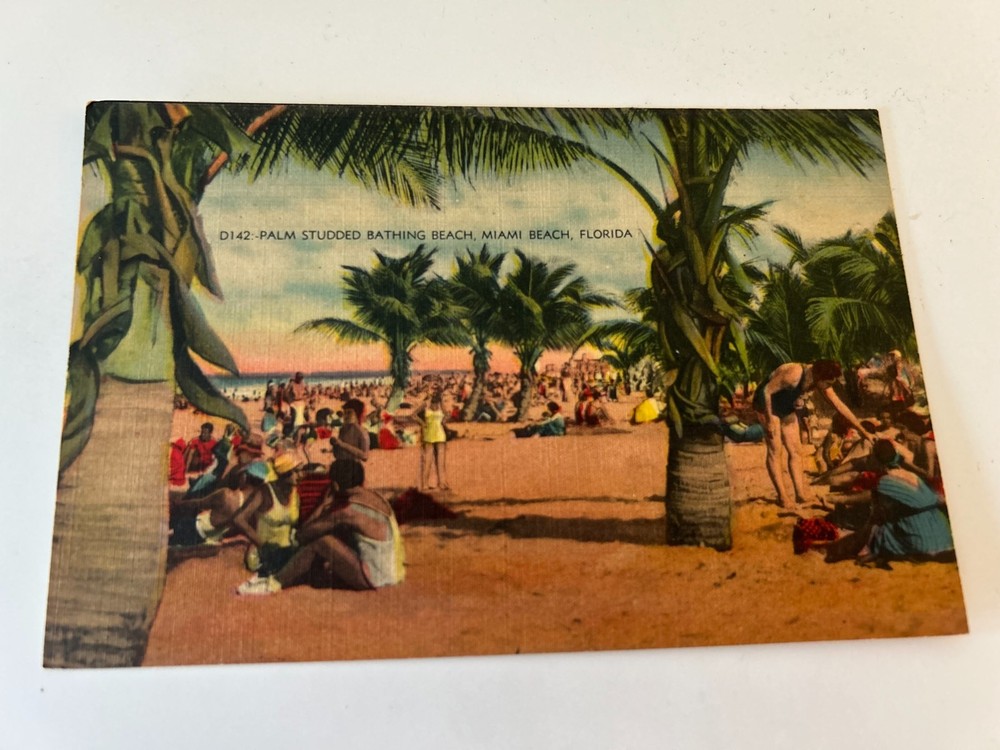 Palm Studded Bathing Beach Miami Beach Florida FL Postcard