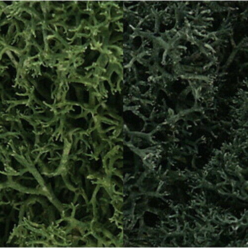 Woodland Scenics Lichen Dark Green Mix 3qt Wool168