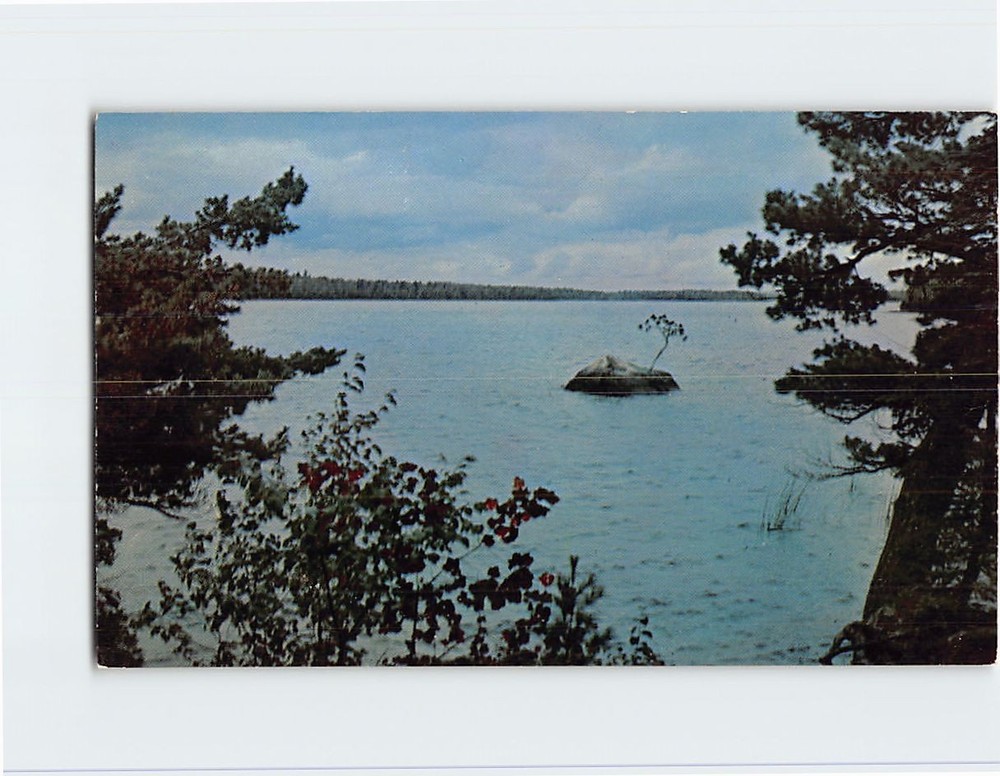 Postcard Lake Trees Nature Landscape Scenery