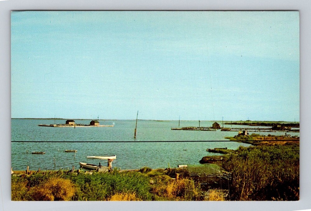 Smith Island MD-Maryland, General Greetings, Ewell Harbor Vintage Postcard