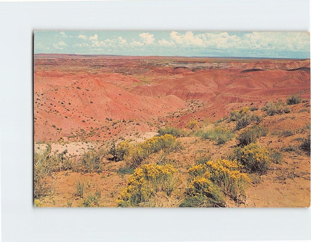 Postcard Painted Desert Northern Arizona USA
