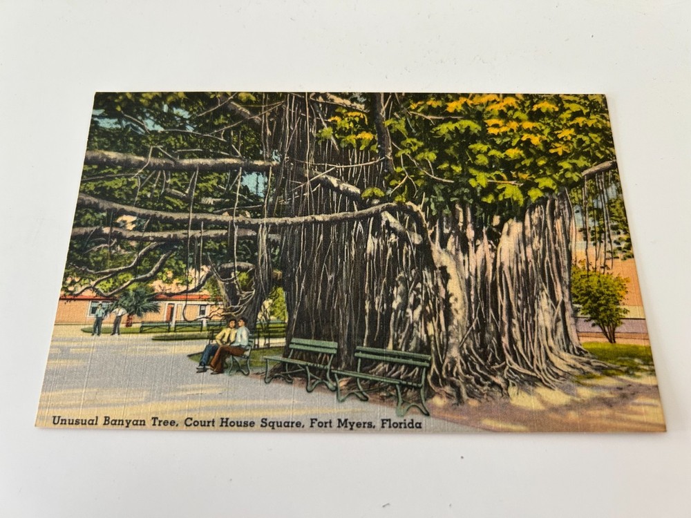 Unusual Banyan Tree Court House Square Fort Myers Florida FL Postcard