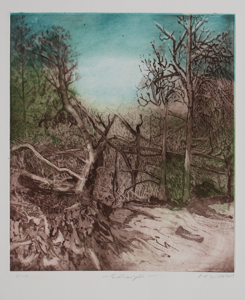 Helga Wirth Uprooted Forest Nature Abstract Signed Color Radiation 2009 5/40-image