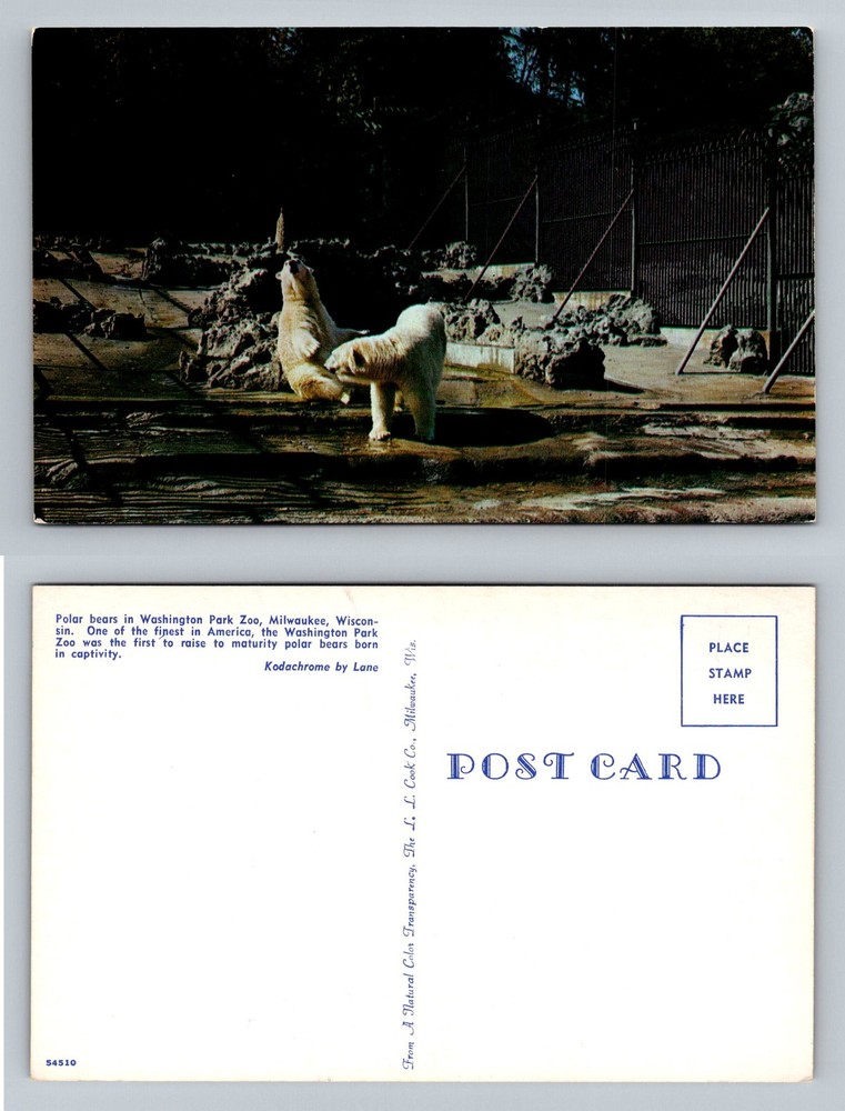 Milwaukee, WI-Wisconsin, Polar Bears At The Washington Park Zoo Vintage Postcard