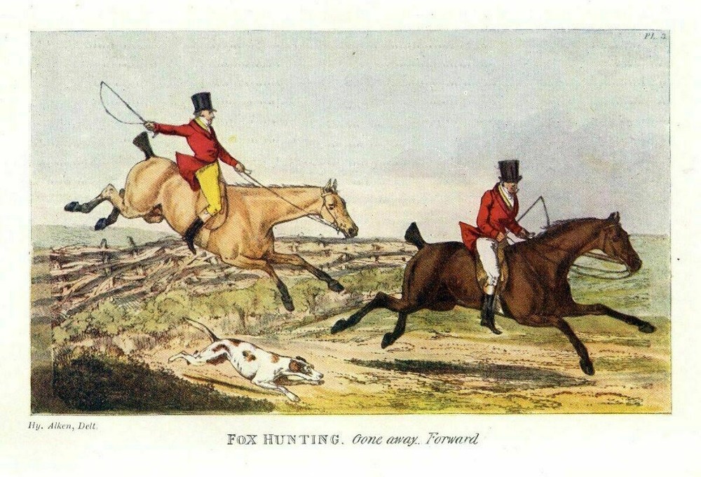 Fox Hunting With Hounds And Whip, Sportsman Hunting Fox On Horseback, Dogs Hunt