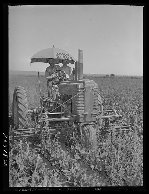 Nyssa Oregon 1942 White Farmer Son Japanese American Family Farm Tractor