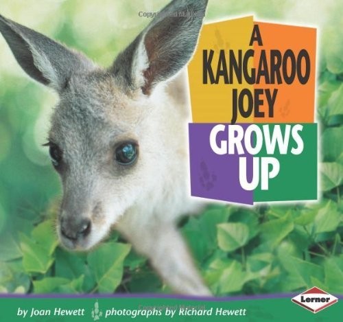A Kangaroo Joey Grows Up (Baby Animals..., Hewett, Joan