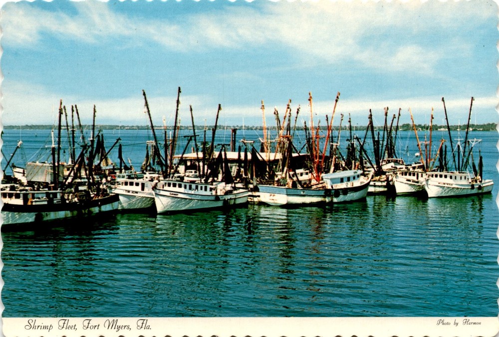 Shrimp Fleet, Fort Myers, Florida, Harmon, Gator Card Co., Cleveland Postcard
