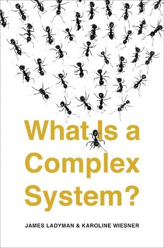 Karoline Wiesner James Ladyman What Is a Complex System? (Paperback)Another great item from Rarewaves USA | Free delivery!