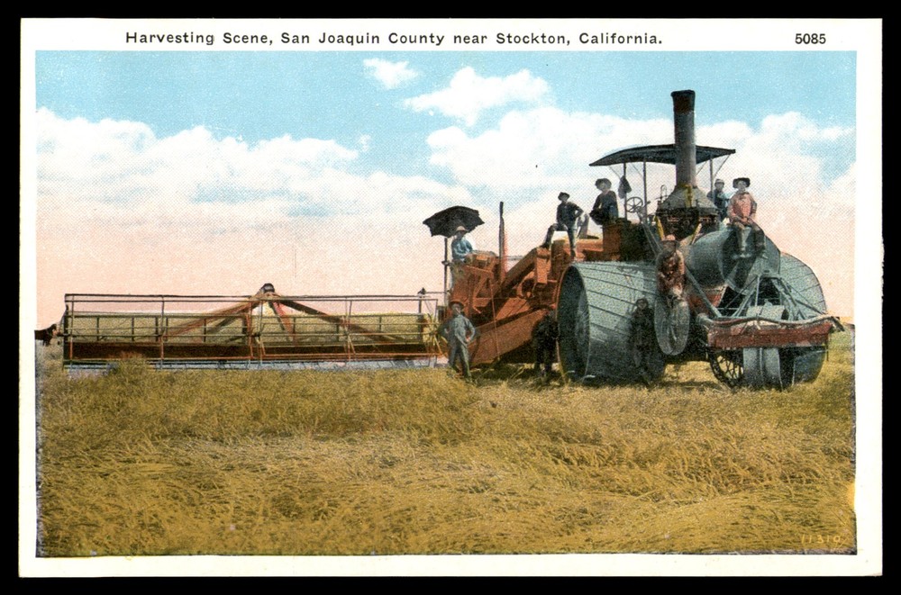 Postcard Harvesting Scene, San Joaquin County near Stockton, CA
