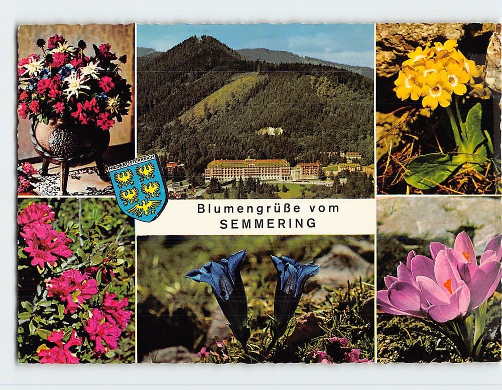 Postcard Blumengrüße vom Semmering Austria