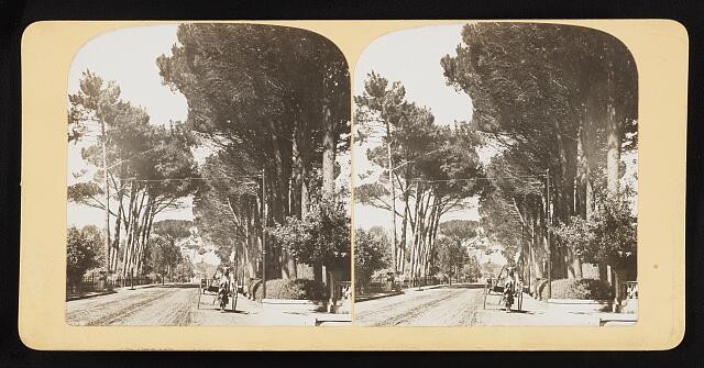 Photo:Street view, South Africa 1901 1