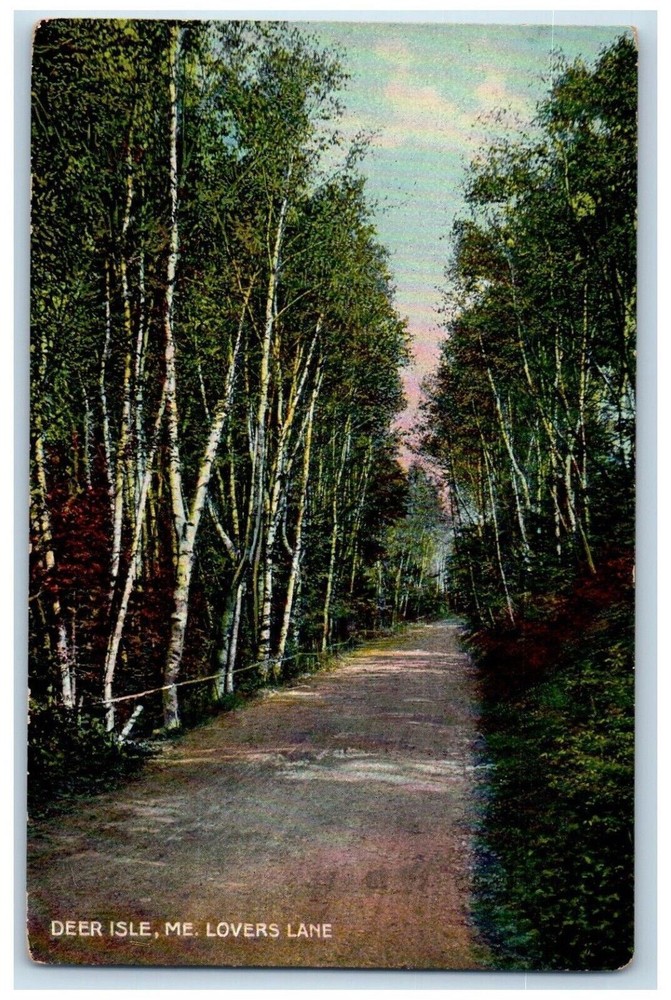 c1910's Lovers Lane Dirt Road Deer Isle Maine ME Unposted Antique Postcard