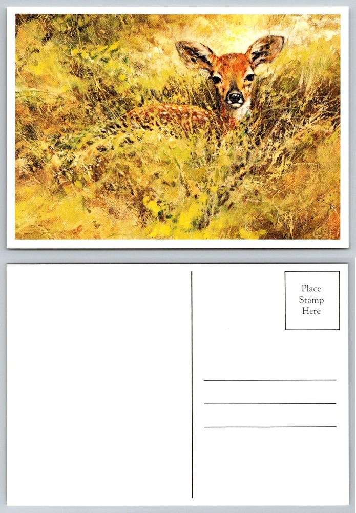 Fawn Deer in Tall Grass Art Postcard Wildlife Nature Painting Style Unposted
