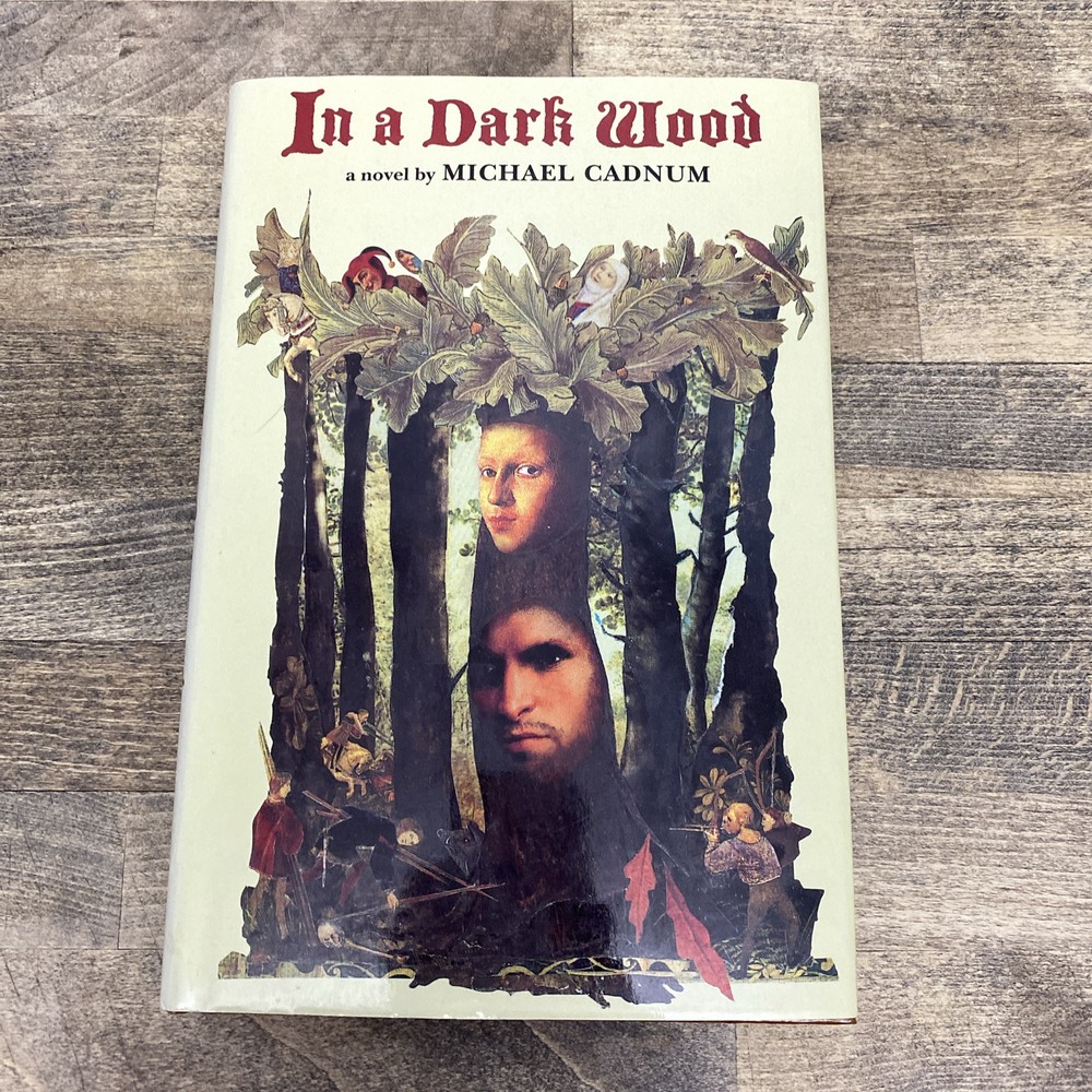 In a Dark Wood by Michael Cadnum Hardcover 1st Edition 1998 Robin Hood Very Good