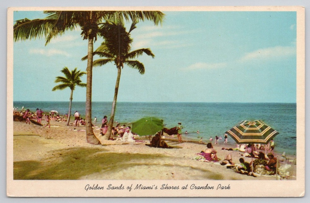 Vintage Crandon Park Miami Florida Beach Curteichcolor Postcard 1950s