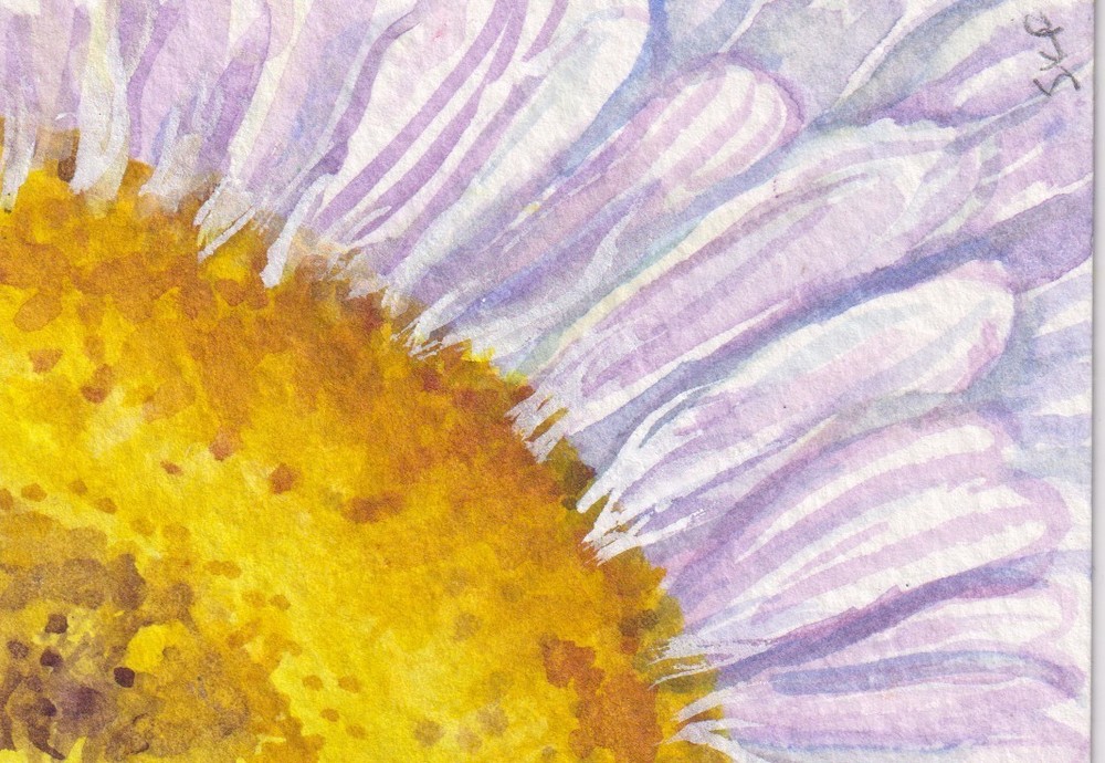 Original White Daisy ACEO Watercolor Painting Floral Art Miniature Daisy Flower
