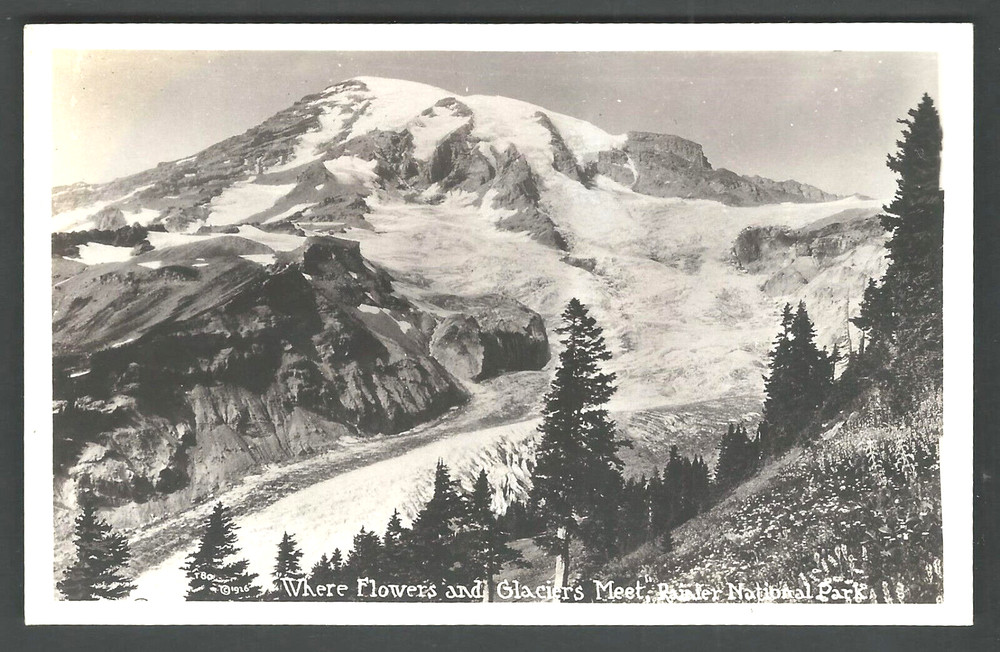 RAINIER NATIONAL PARK Where Flowers & Glaciers Meet RPPC Real Photo Postcard
