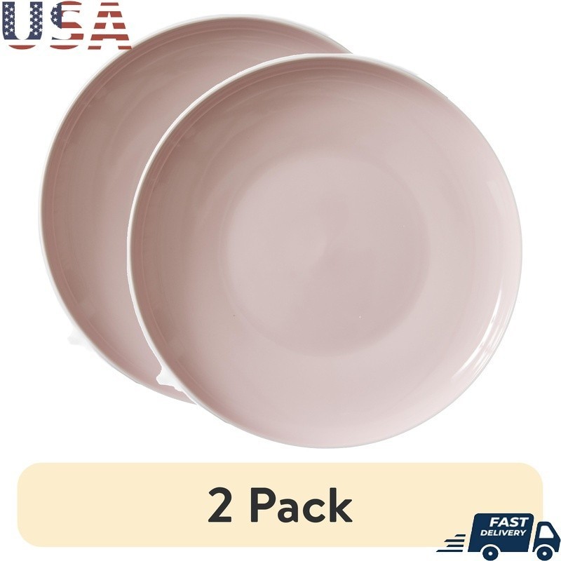 2 Pack Stoneware Dinner Plate Microwave Dishwasher Safe Round Plates 10.5 Inch