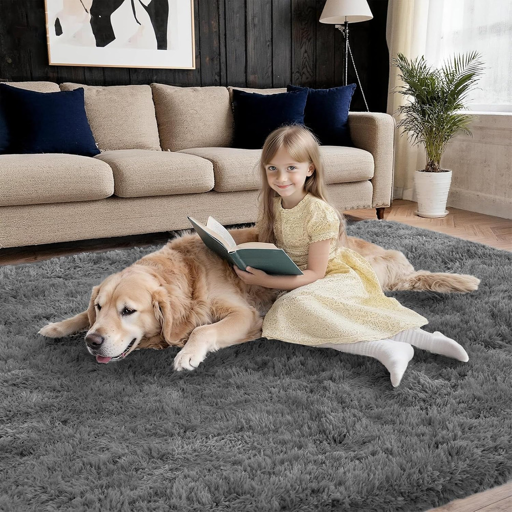 Shag Gray Rug 6X9 Area Rugs for Bedroom Living Room - Non Slip Ultra Soft Large