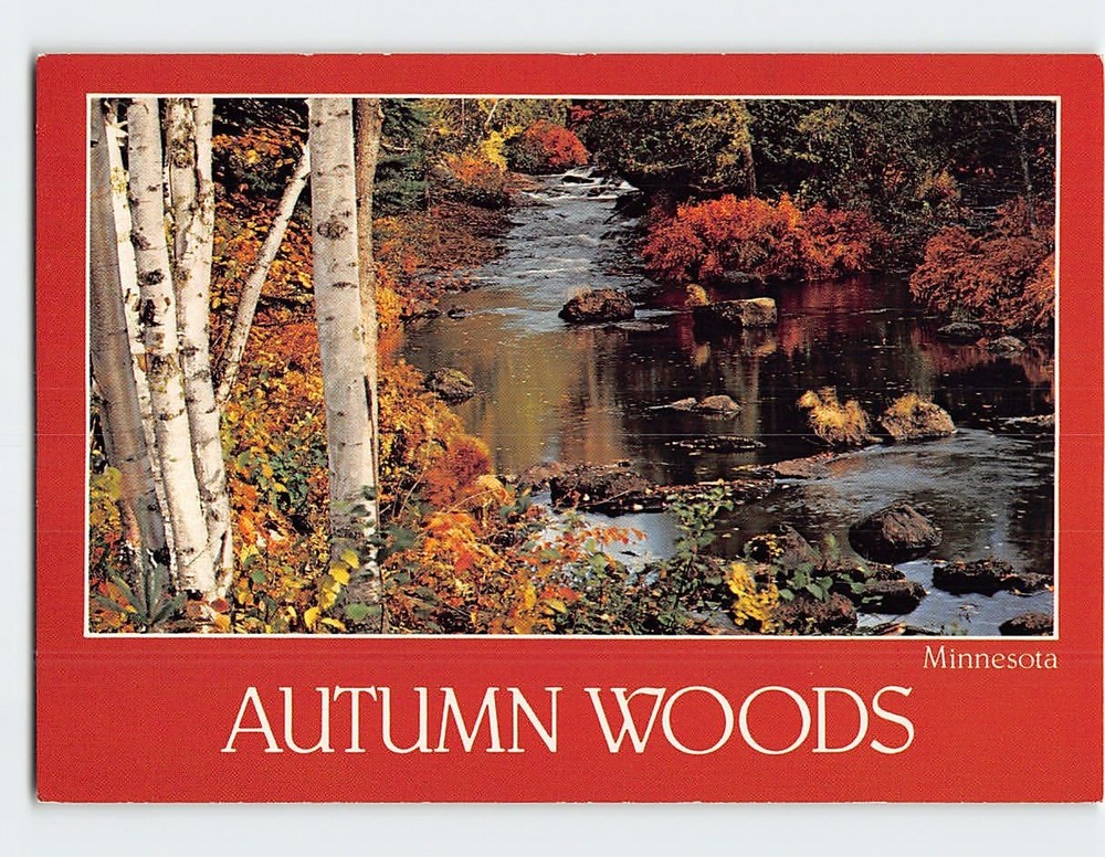 Postcard Autumn Woods Minnesota USA