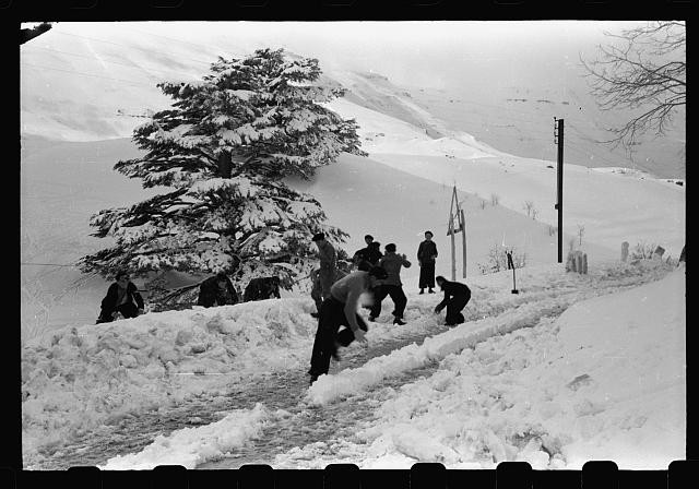 Cedars Lebanon 1946 Lebanese Soldiers Clearing Snow Road Mountain Pass