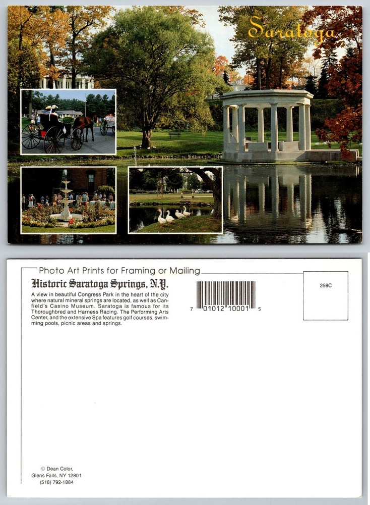 Historic Saratoga Springs NY Congress Park Gazebo Fountain Geese Postcard