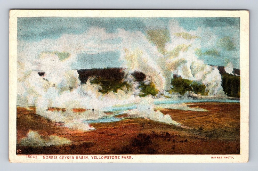 Yellowstone National Park-Norris Geyser Basin, Antique Vintage Souvenir Postcard