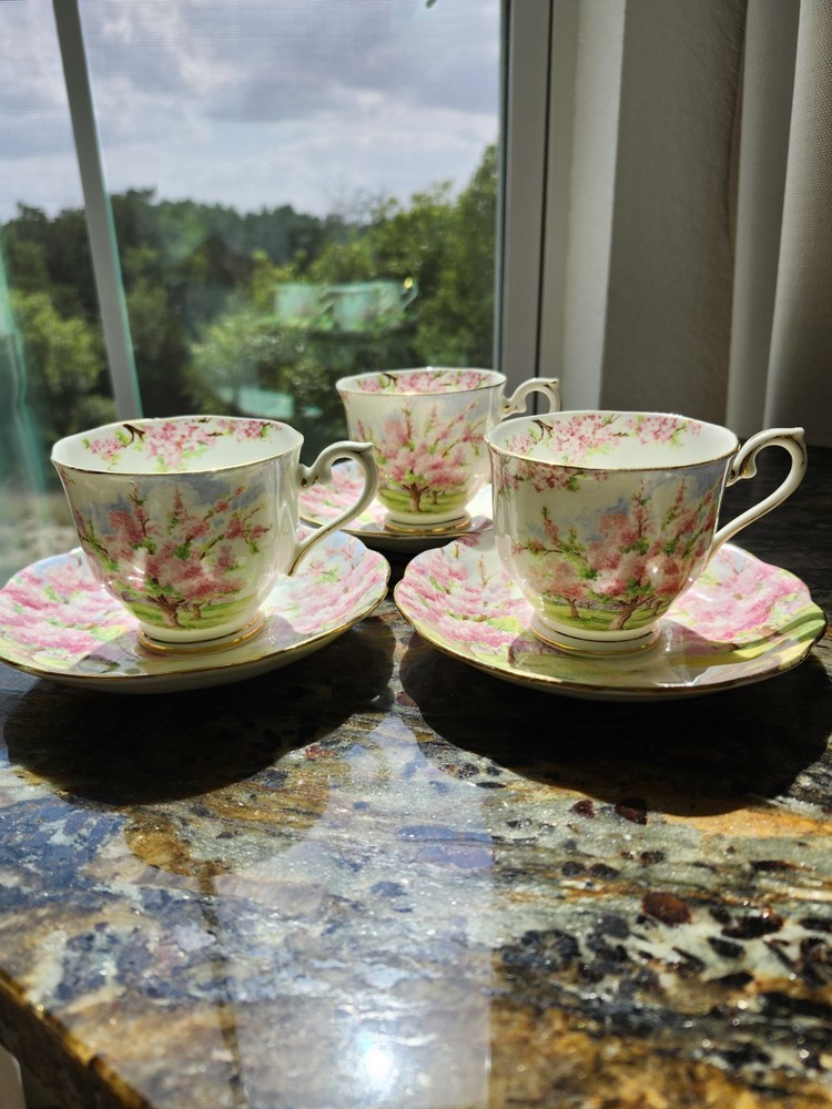 Royal Albert Blossom Time Tea Cup & Saucer Vintage Bone China England