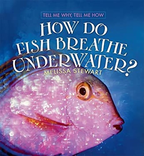 How Do Fish Breathe Underwater? Library Binding Melissa StewartFree US Delivery | ISBN:0761421092