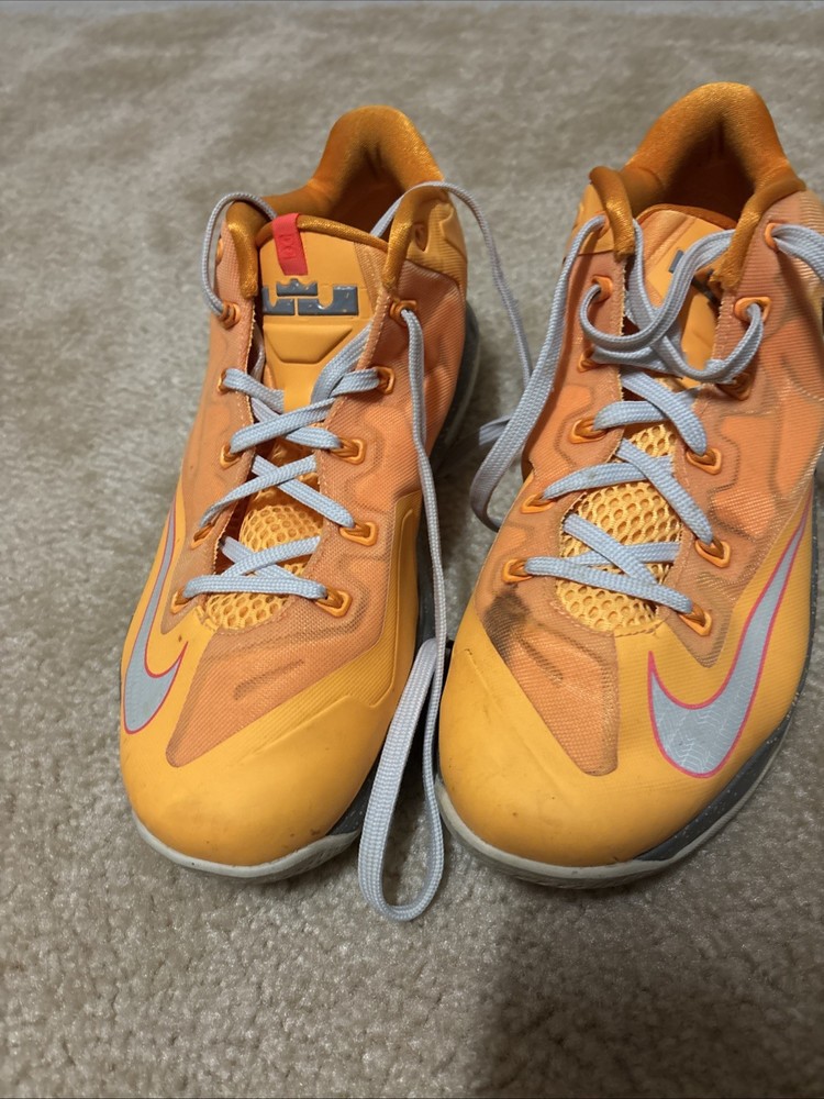 Size 11 - Nike Max LeBron 11 Low Floridian