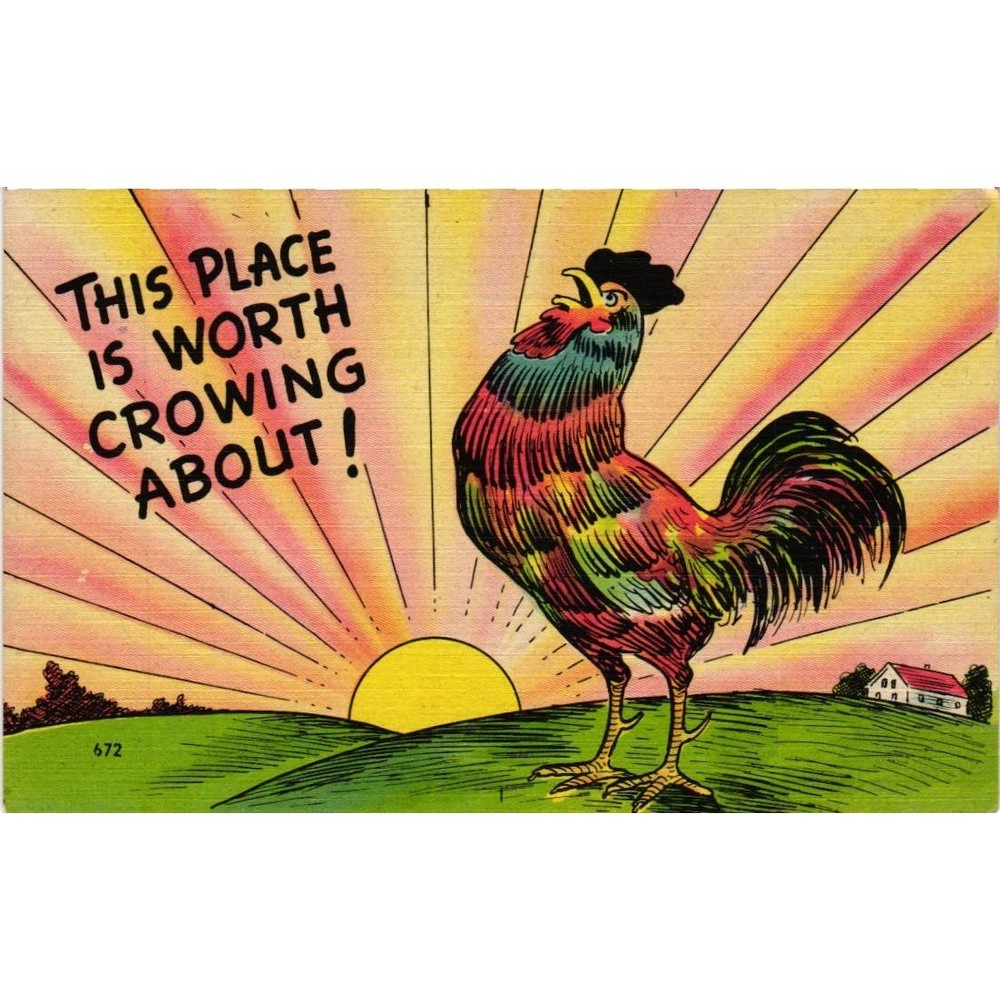 Vintage Linen Postcard This Place Is Worth Crowing About Rooster Sunrise 672