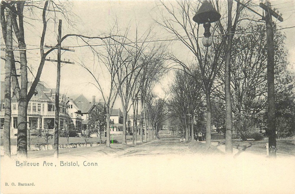 c1905 Bristol Connecticut  Bellevue Avenue Rotograph undivided Postcard 26-3689
