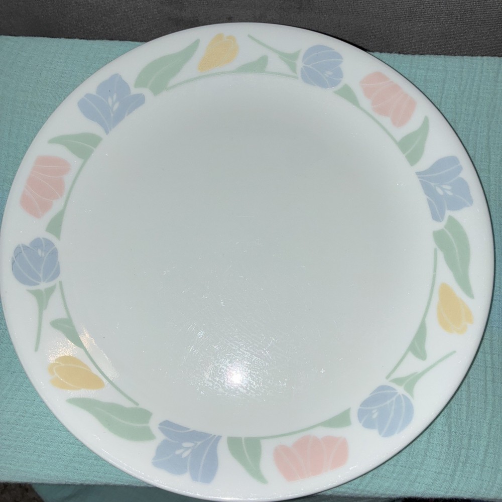 Corelle by Corning FRIENDSHIP Dinner Plate White/Blue/Pink/Yellow 10-1/4