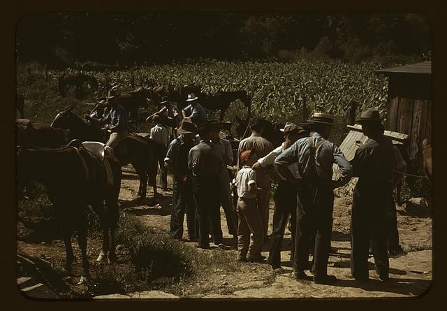 Photo:Campton Kentucky 1940 Mountaineers Farmers Trading Mules Horses