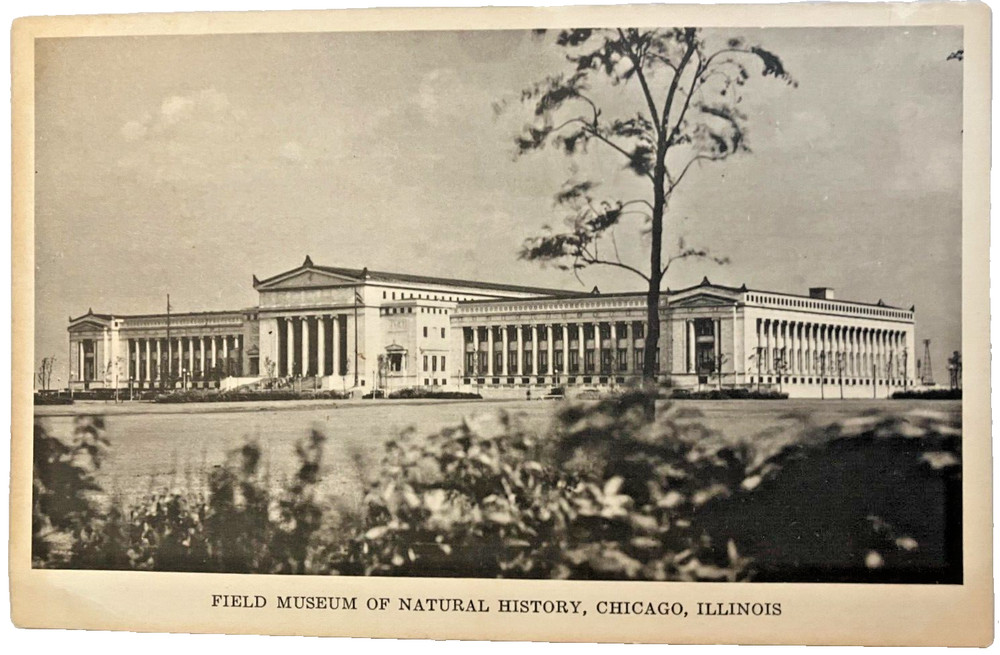Vintage postcard: Field Museum of Natural History, Chicago, unposted, excel cond