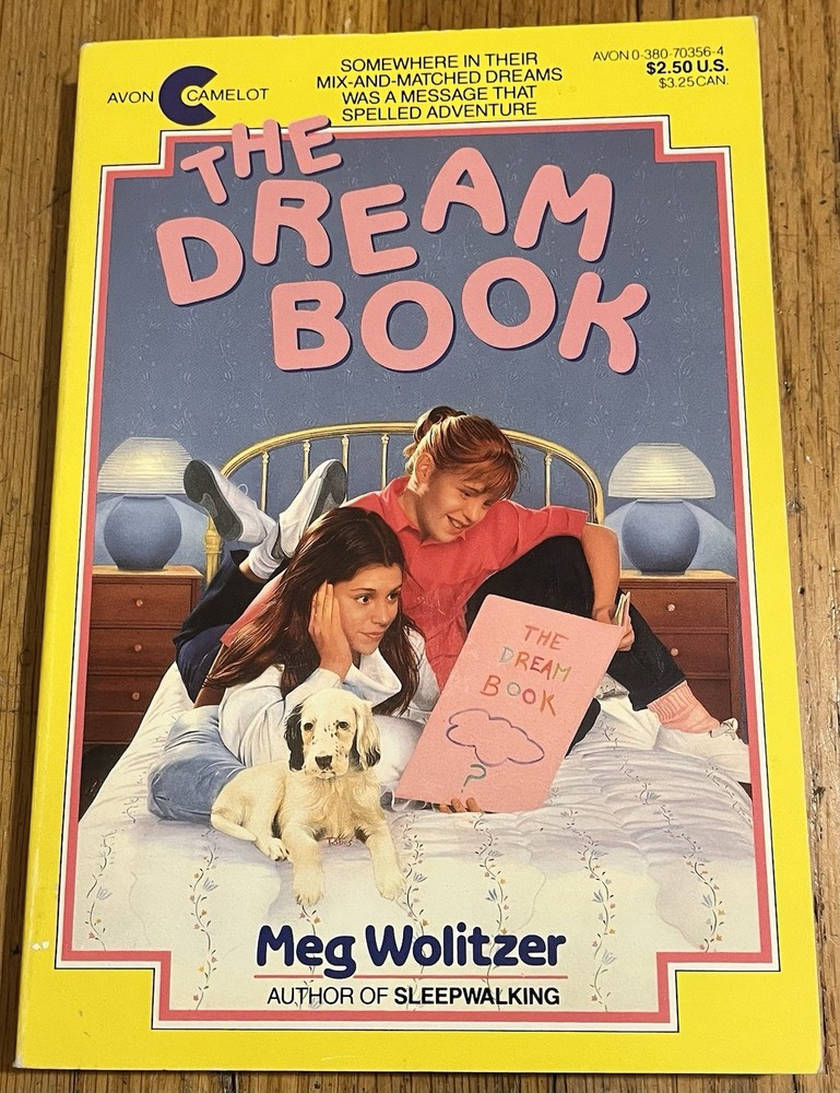 THE DREAM BOOK : by Meg Wolitzer : vintage