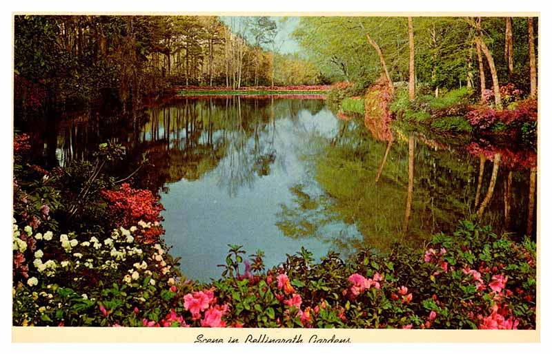 Postcard GARDEN SCENE Mobile Alabama AL m/09 AS0568