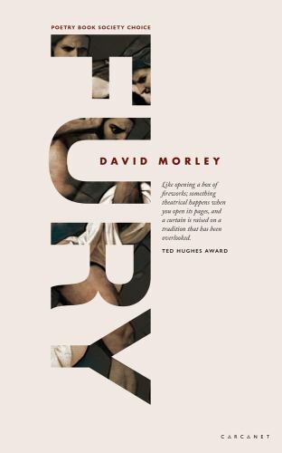 Fury, Paperback by Morley, David, Brand New, Free shipping in the US