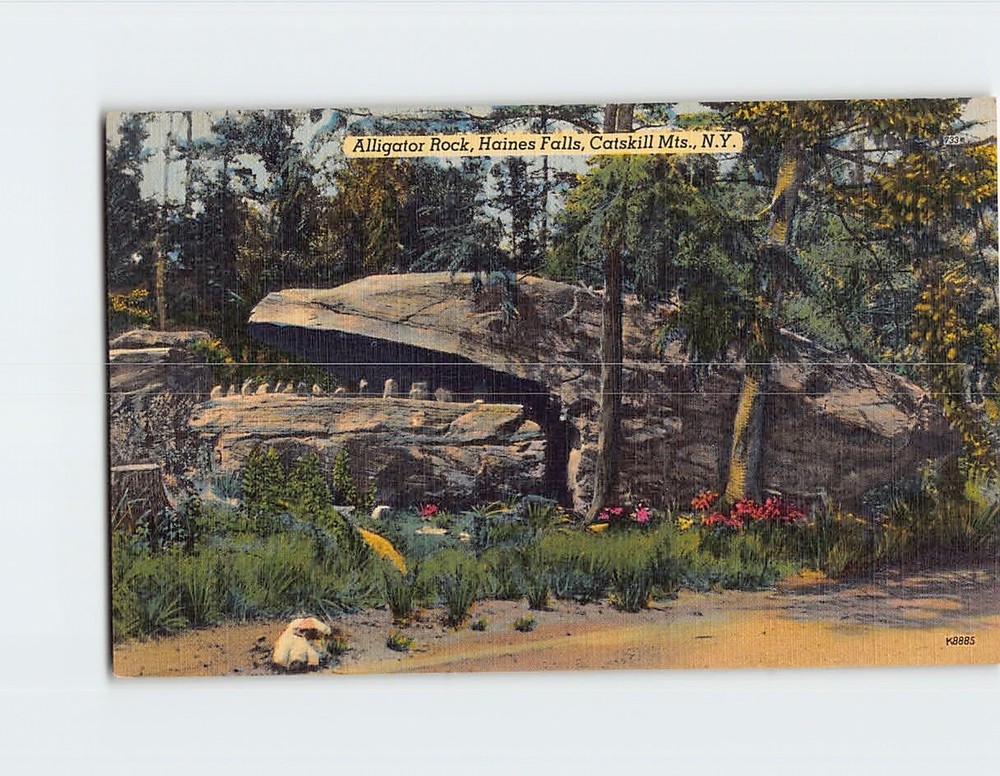 Postcard Alligator Rock Haines Falls Catskill Mountains NY USA