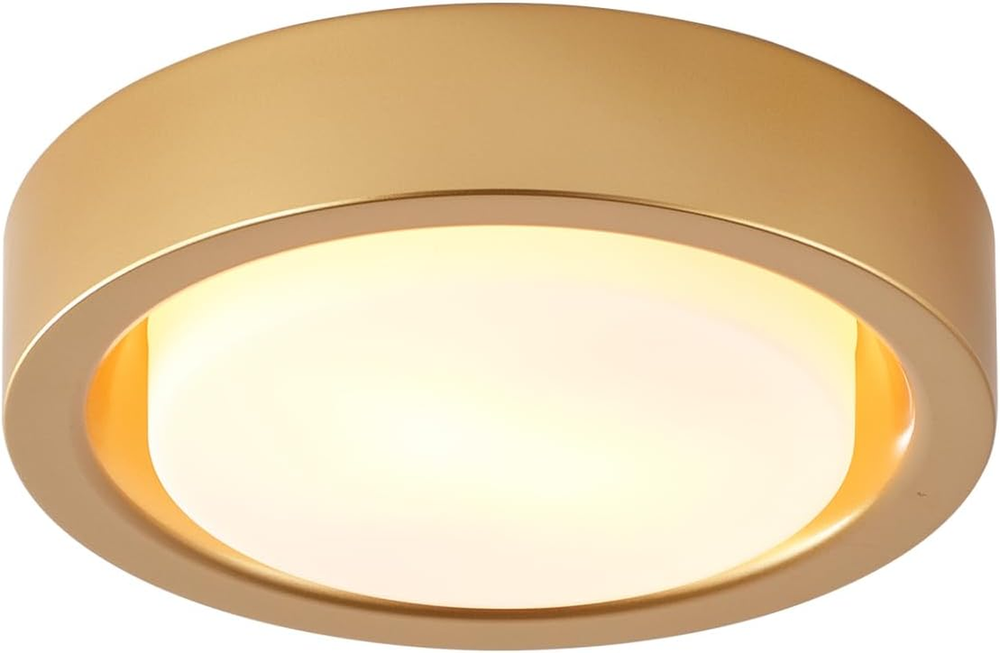 13 Inch Flush Mount Ceiling Light,Gold Finish Plate with Frosted Glass Shade,Rou