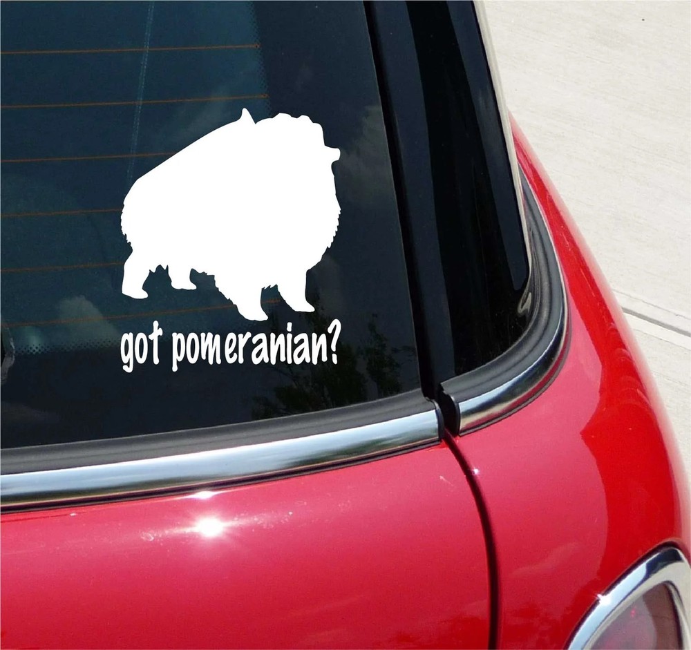 GOT POMERANIAN? POM POMS DOG GRAPHIC DECAL STICKER ART CAR WALL DECOR